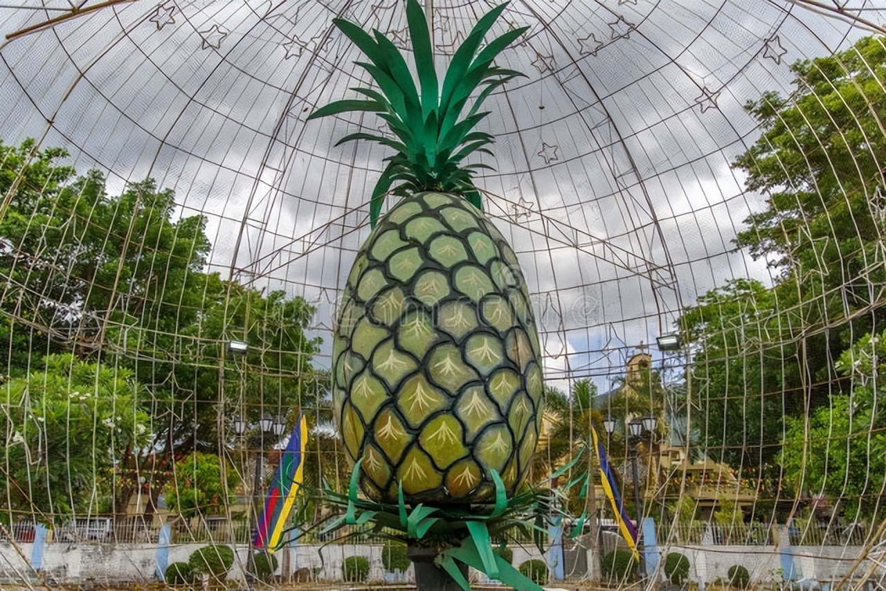 菲律宾菠萝卖不出去,菲律宾每年销售中国多少菠萝