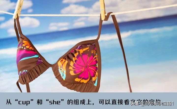 来自南京的沙滩泳装，在美国大受追捧。Cupshe是下一个Shein吗？