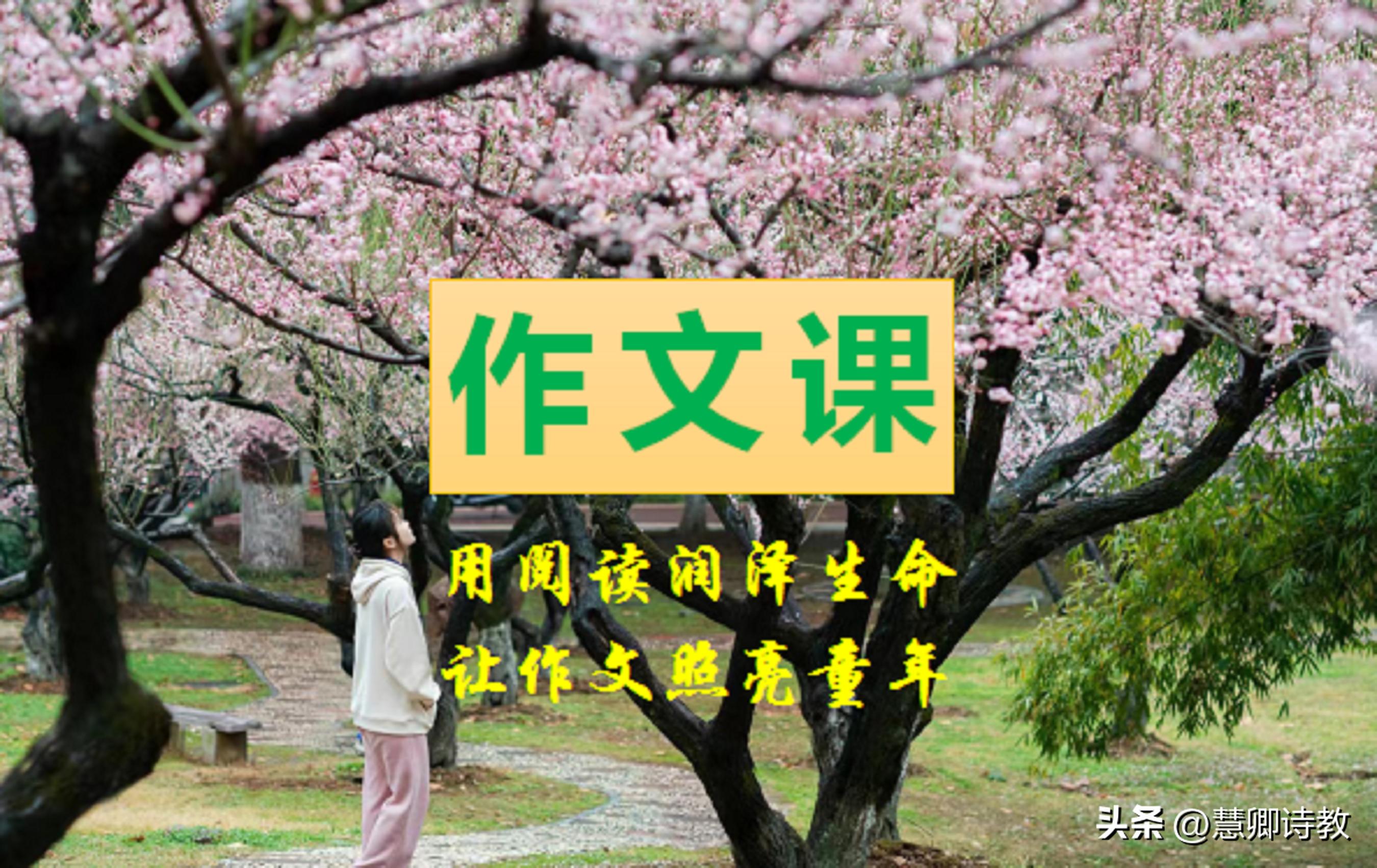 六年级作文课|六下习作二:写作品梗概