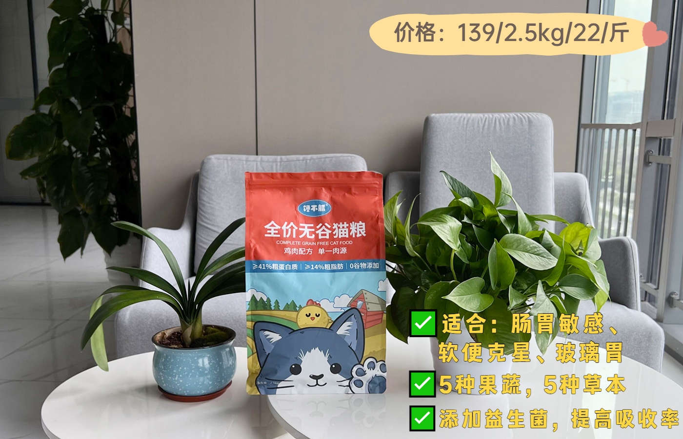 猫忠心还是狗忠心,什么猫忠心