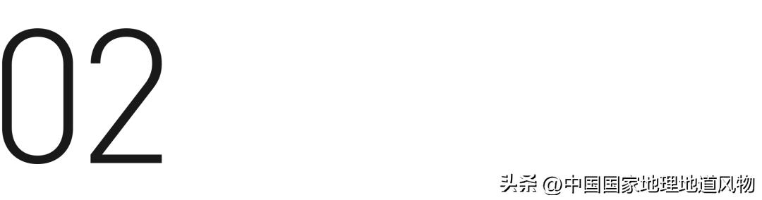 中国养羊最多的地方是哪里,中国养羊第一名