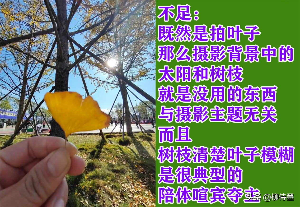 手机拍照片有哪些优点和缺点？3个摄影技巧，助你扬长避短