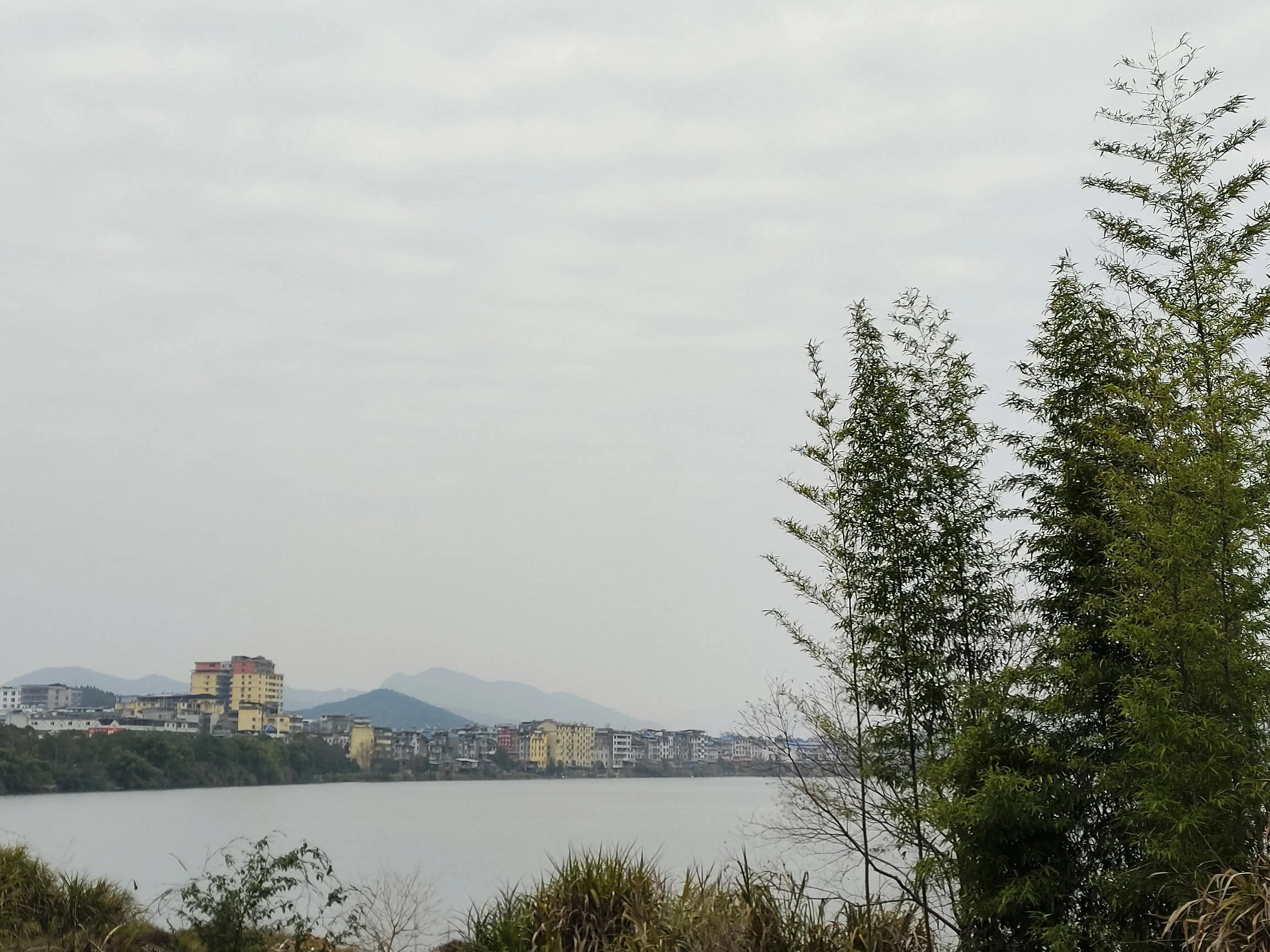 我的小姨电视剧,我和小姨子隔离14天