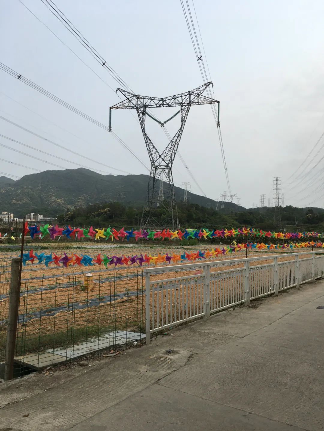 旭光车行雅迪电动车,旭光单车