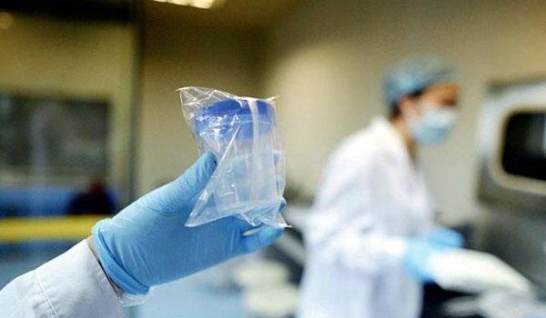 人工试管授精价格,上海试管成功率与费用便宜排名