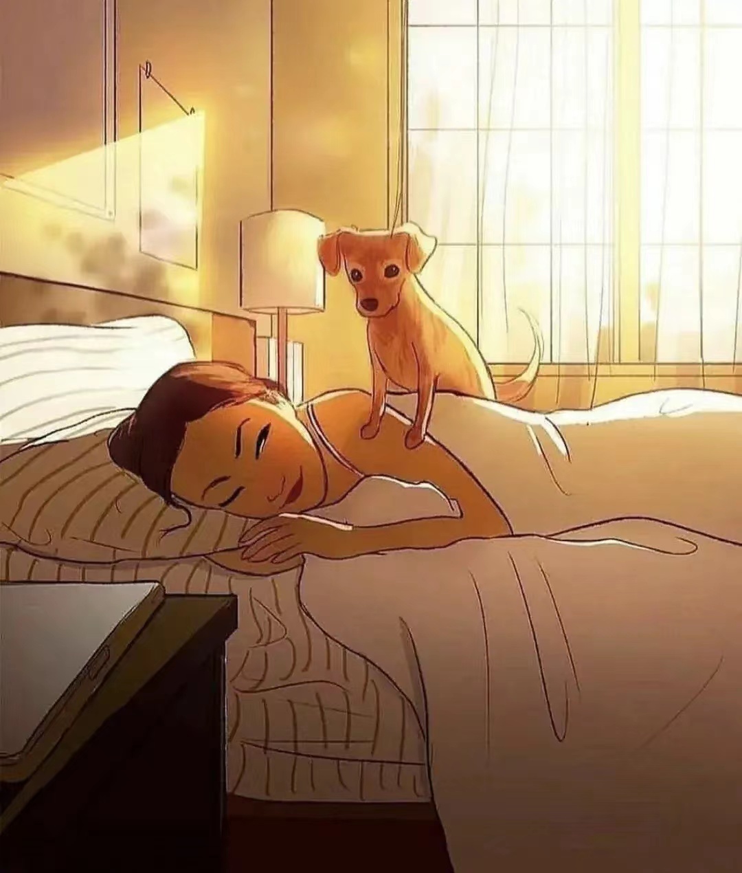 资本从吹捧转变为挖苦女性,是因为资本抛弃了女性?非也!