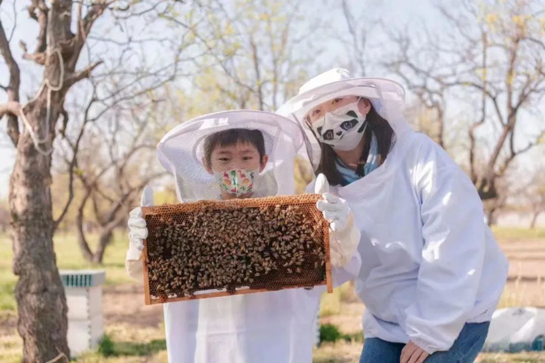 想知道致富密码？走，来这个镇看看～