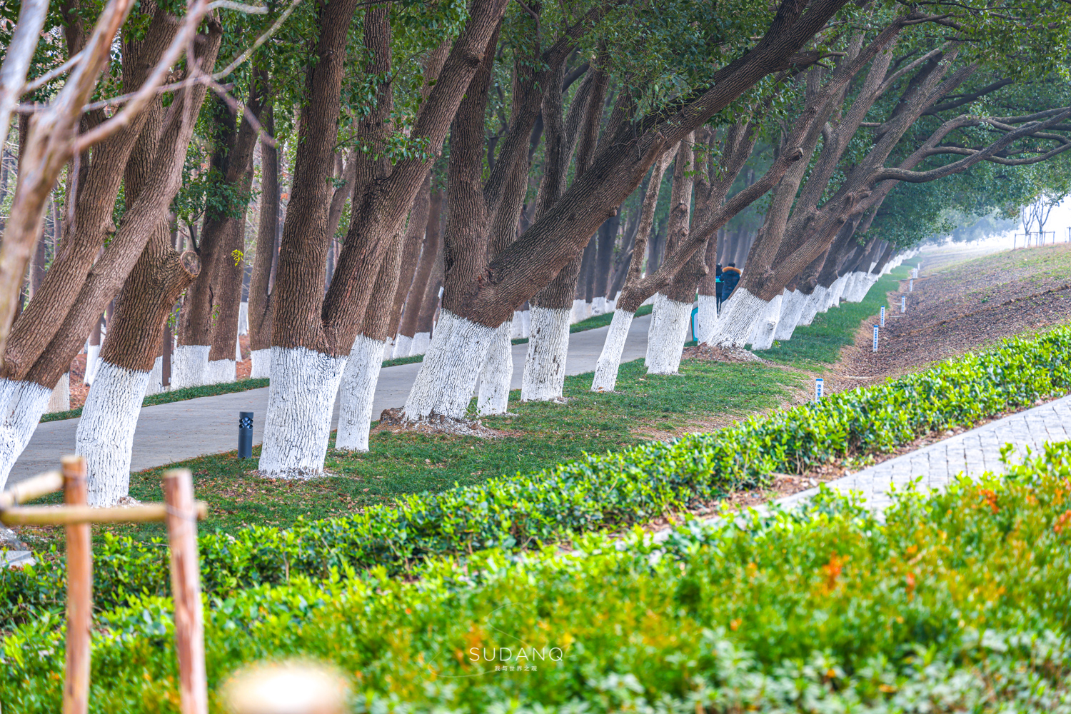 苏州太湖四日游攻略图,新春之旅二日游旅游攻略