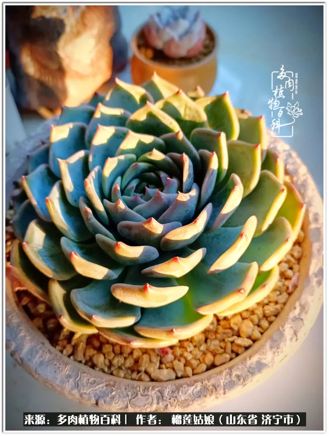 繁花似锦觅安宁淡如流水度一生,繁花似锦觅安宁淡云流水度人生