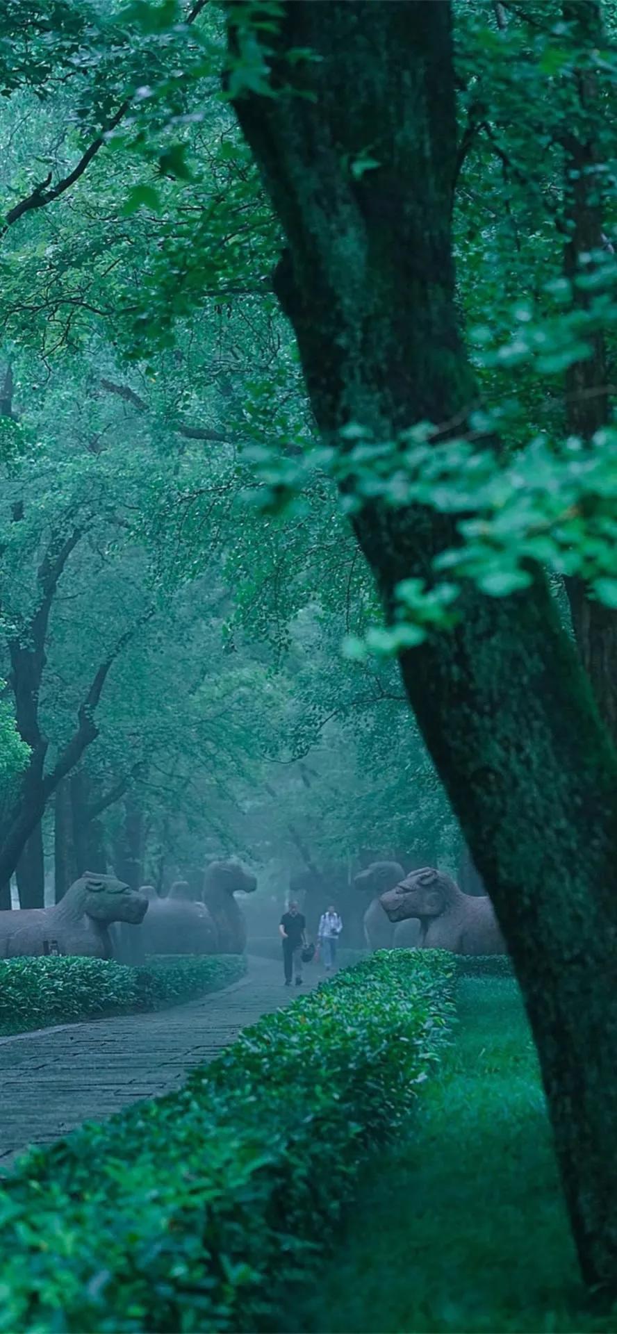 湛蓝的海水海滩风景高清壁纸,高清壁纸8k全屏无水印风景