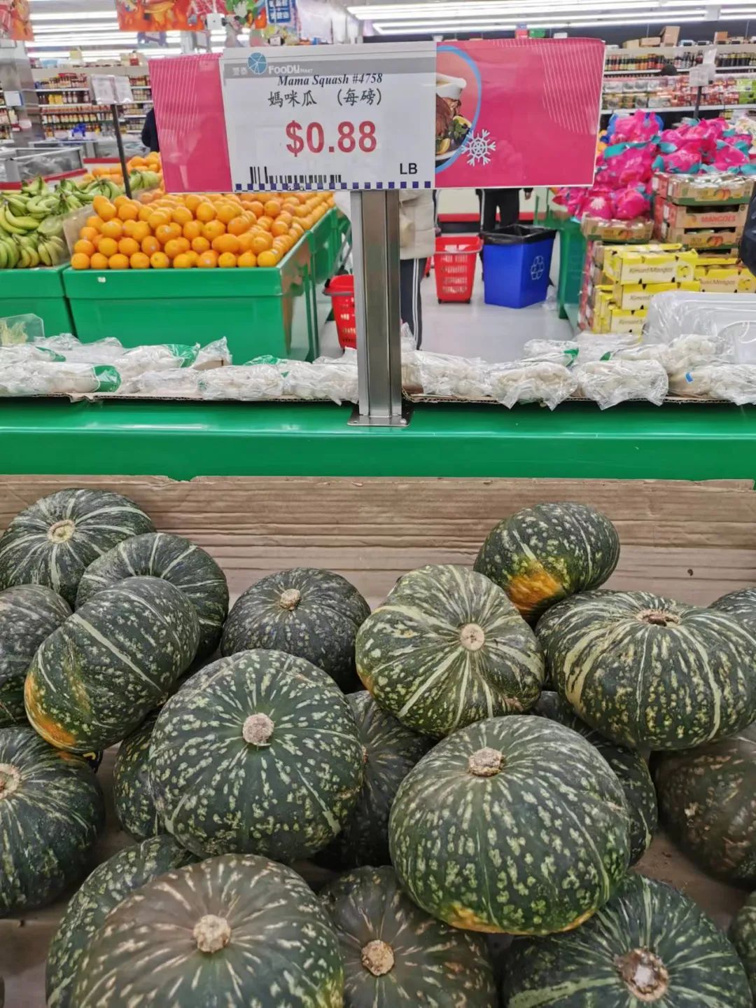 移民多伦多需要什么,移民多伦多做什么