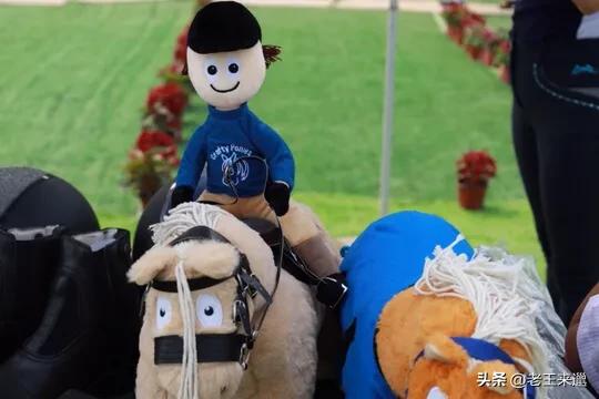 马术比赛最新消息,徐州市第二届青少年马术公开赛