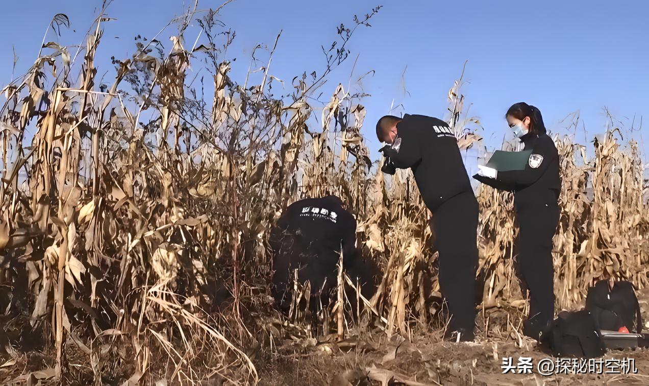 真相玉米地里惊现一具女尸,灌木丛发现一具女尸恐怖故事