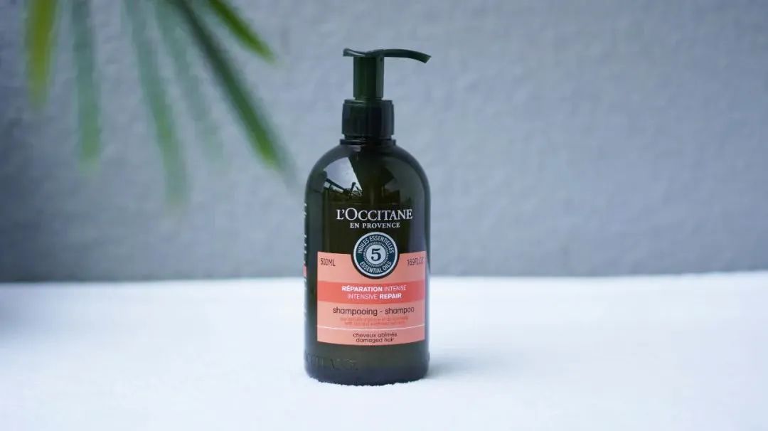 油头掉发适合的洗发水,油头发用什么洗发水好用