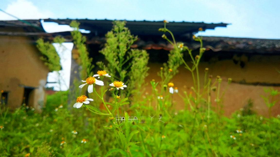 广东必去十大景点排名广州从化,从化什么地方山清水秀