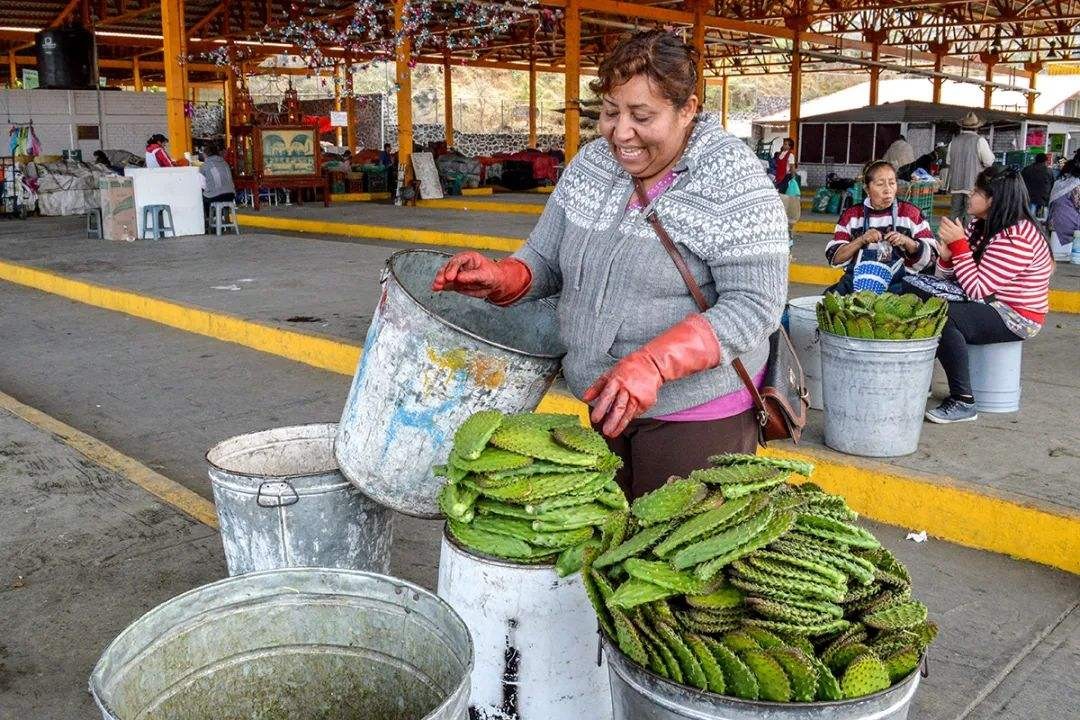 墨西哥城生活真实现状,墨西哥的人民怎么生活