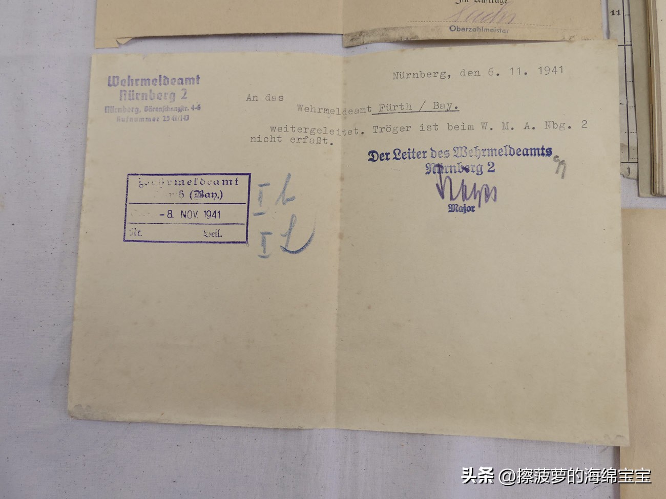 二战时德国军人的肩章,二战德国兵种领章