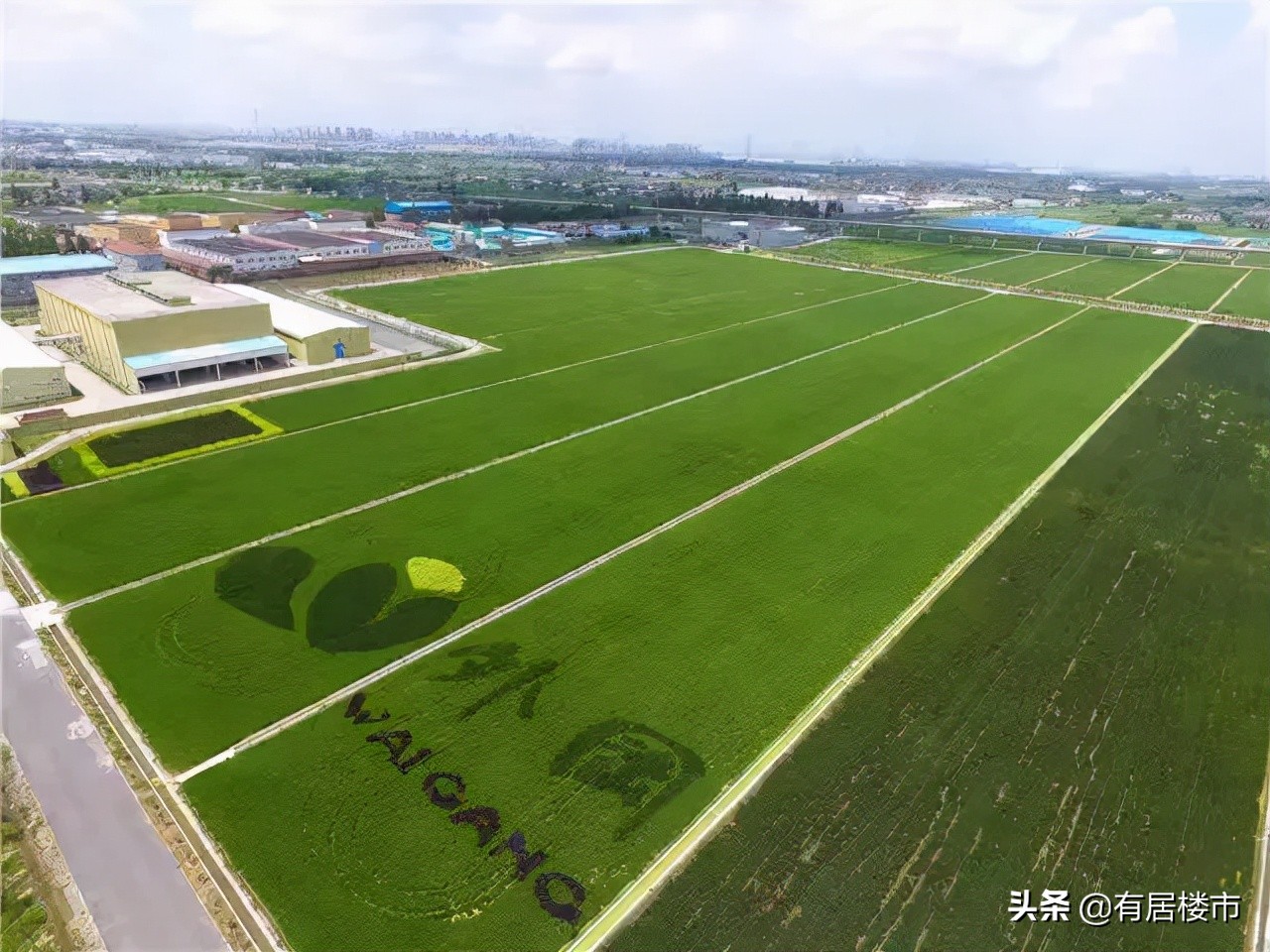 外冈别墅，上车你就输了