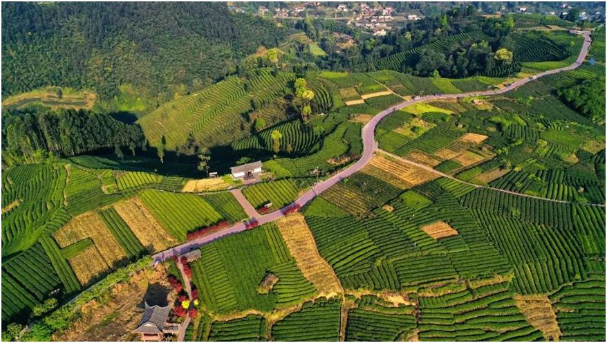 雅安名山景区怎样,雅安名山必去的三个地方