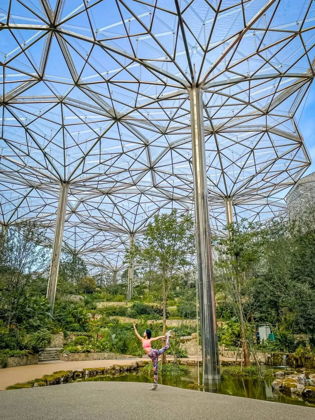 voco南京酒店,南京voco酒店园博园