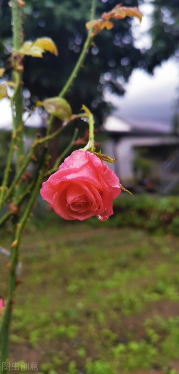 真正的有钱人和虚假的有钱人穿搭,真正的有钱人是什么样子的