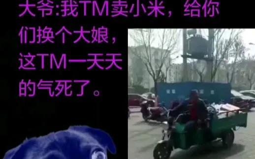 经典网络名梗——2019（战「疫」初始）