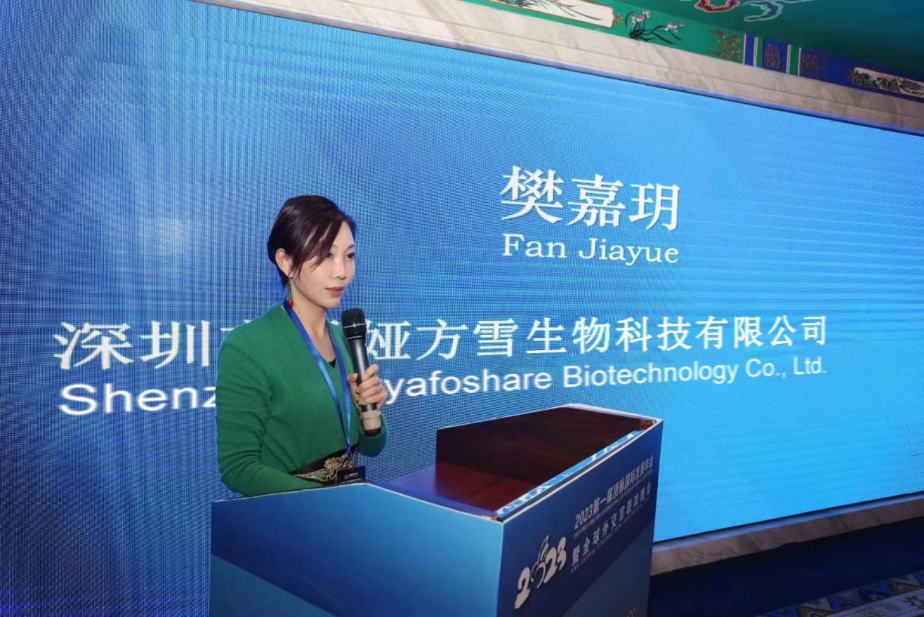 2024骞村叏鐞冨浜ゅ畼杩庢柊鏅氬,椹诲崕澶栦氦浣胯妭鏅氬