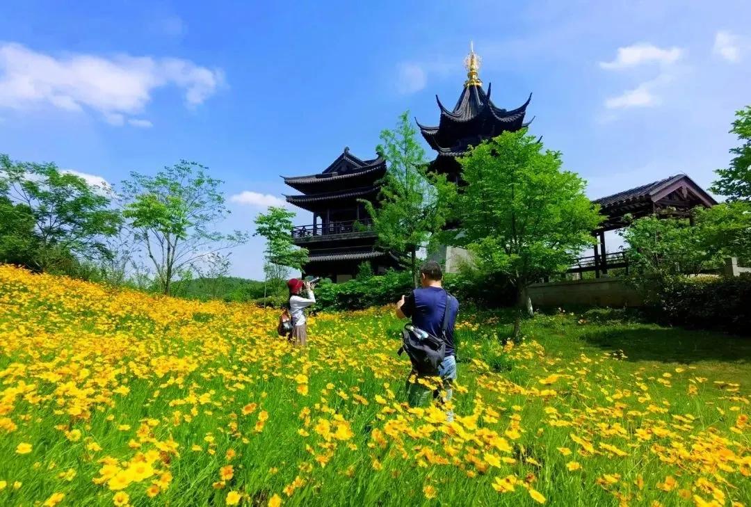 疫情过后欢迎您来甘肃青海旅游,疫情过后欢迎您的到来