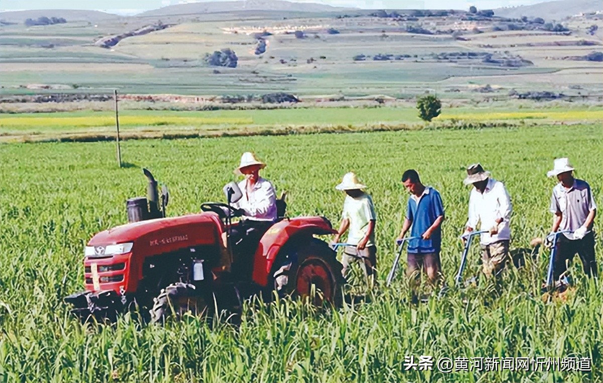 巩固拓展脱贫攻坚成果示范县,脱贫攻坚同乡村振兴的有效衔接