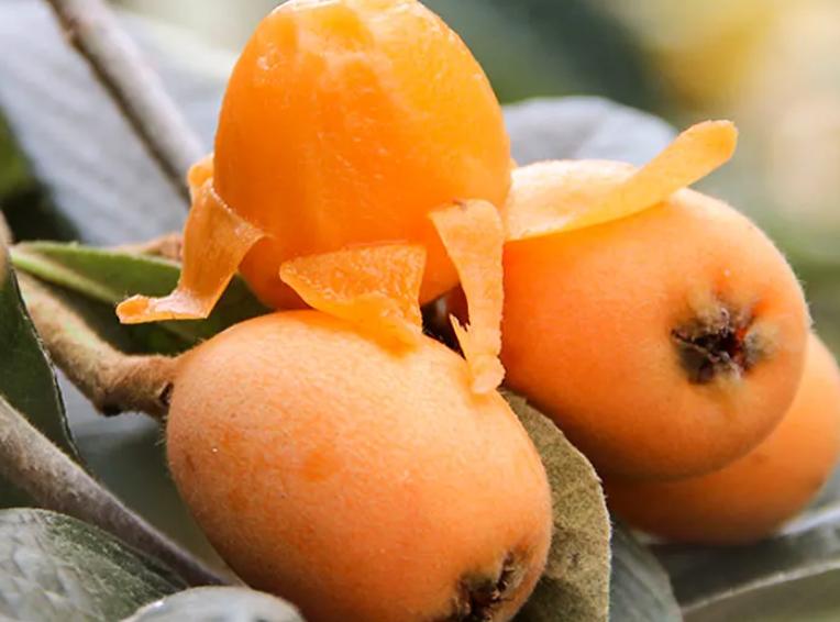 女人来例假千万别吃八种水果,例假来了千万别碰3种水果