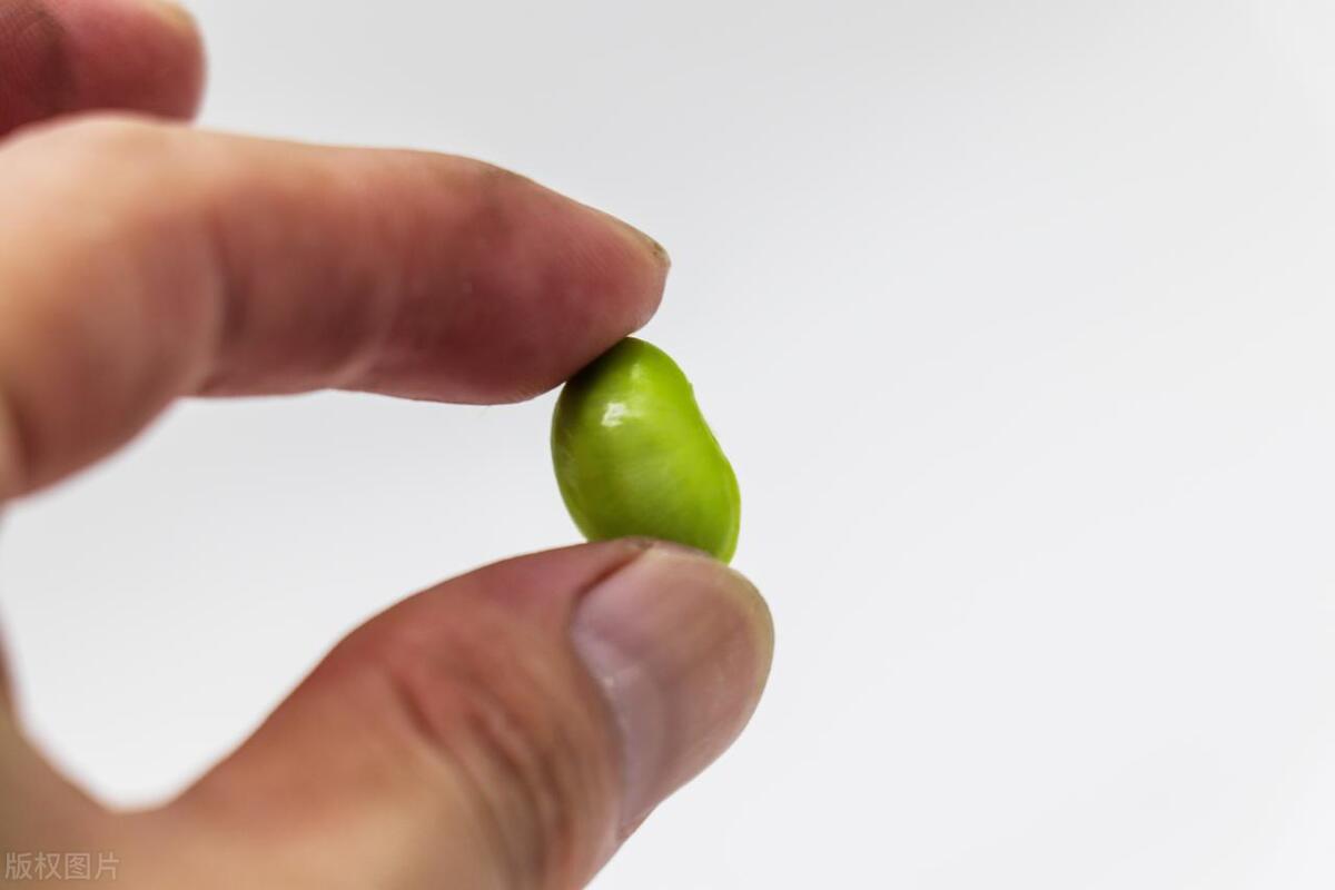 种豆角学会这几招豆角高产很容易,种豆角的技巧用什么肥