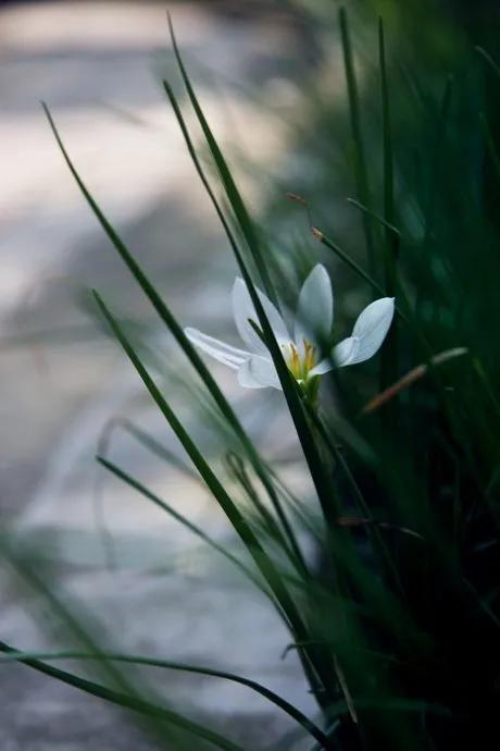 狂客上联,狂客七字对联上联