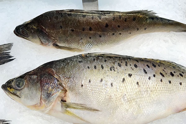 缓解视觉疲劳护眼的食物,远离眼睛干涩的食物