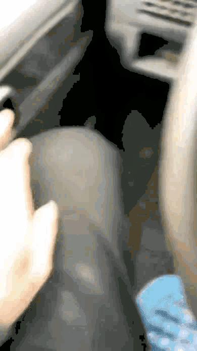 女朋友是不是平胸怎么验,被说平胸怎么安慰自己