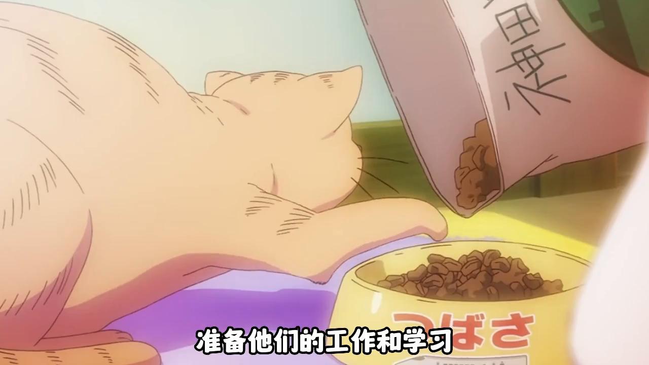 樱花庄的宠物女孩推荐,樱花庄的宠物女孩全员图