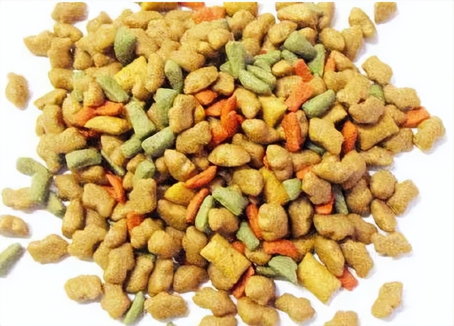 不建议新手买的狗粮,狗粮的选择避坑