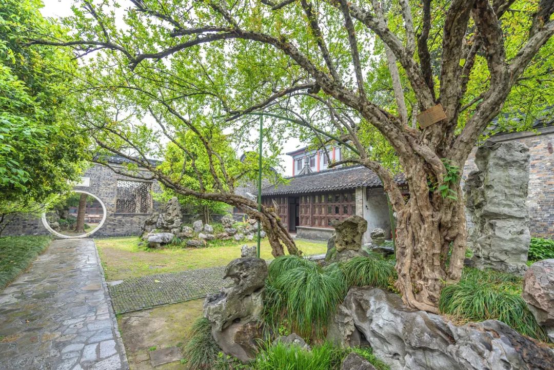 磨金石教育摄影技能干货分享||扬州有哪些地方让你流连忘返