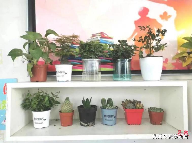 开展植树节主题班会活动,植树绿化美化家园主题班会节目