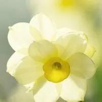 活法每一章读后感200字,活法读后感心态决定命运