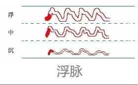 中医28脉诊歌诀及示意图,中医28脉全部脉象图解