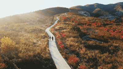 破旧老房田园生活,一家5口蜗居北京17平米改造后