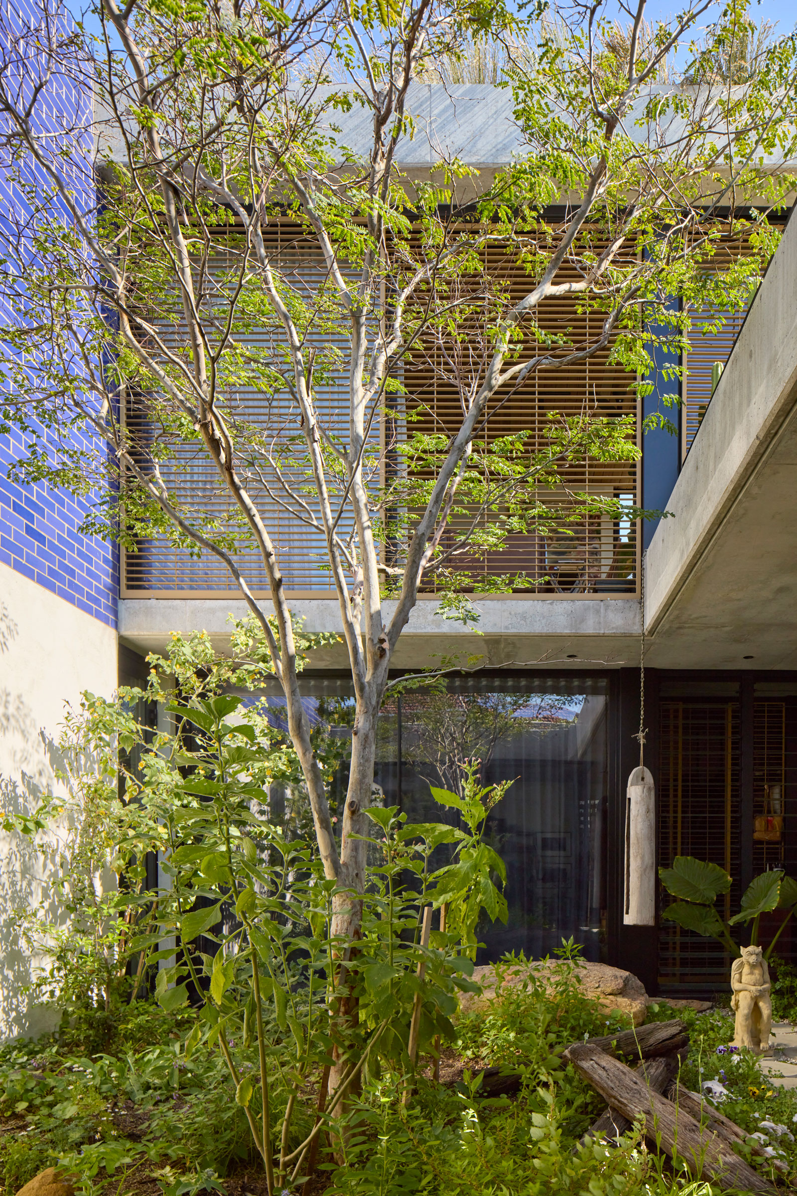 工作室漫游和IOTA：吉米的家