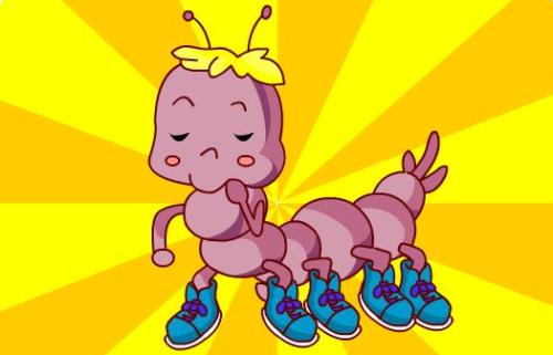 热带雨林十大危险动物蛇,亚马逊热带雨林最恐怖的蛇