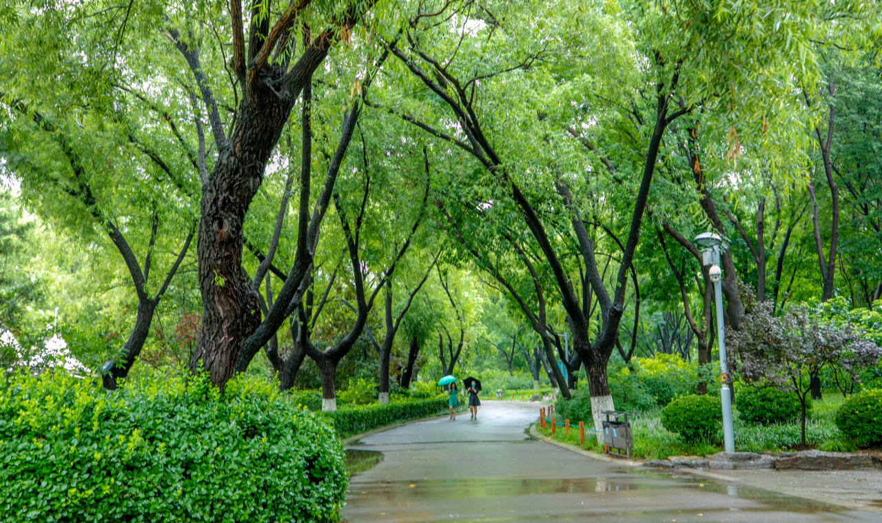 济南体验泉城天然氧吧,济南天然氧免费景点