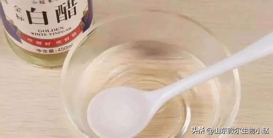 养鸡学会用醋,养鸡喂白醋有什么好处