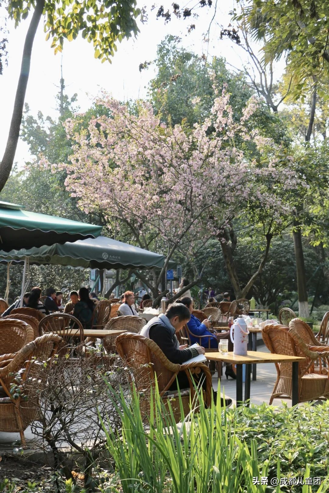 地铁3号线能到的美景地方,一号线地铁直达的风景