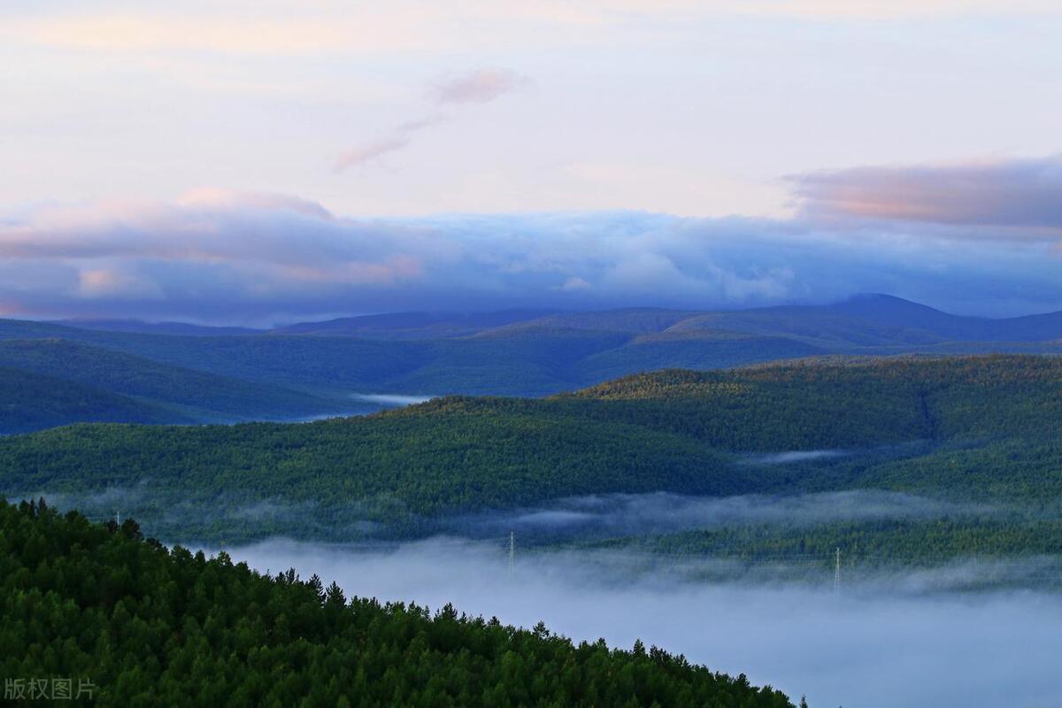 佳音第一次参加这种饭局,同寝室的马莉莲大一就被人带出来赴饭局
