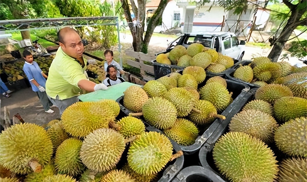 2016年霸气拒绝德日,与中国签752亿大订单,今有难中国伸手援助
