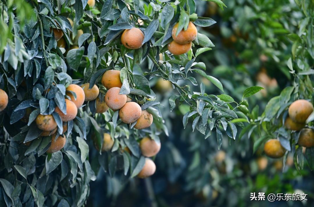 到海南乐东旅游攻略,乐东出发一日游