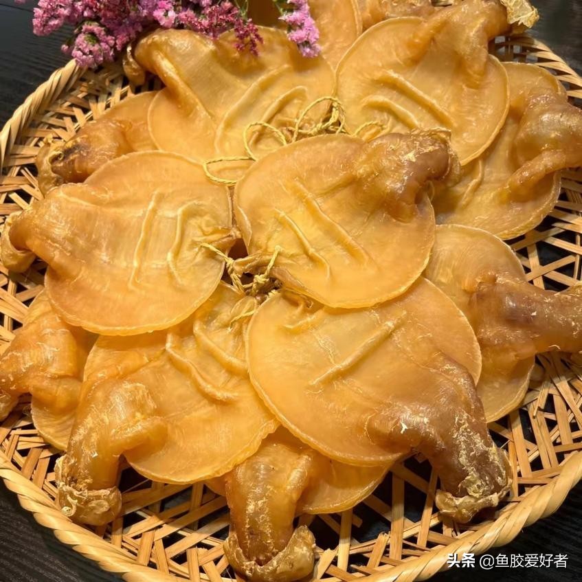 买哪种鱼胶值得收藏,不建议入手的鱼胶